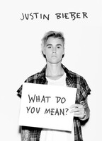 What Do You Mean
