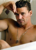 David Boreanaz