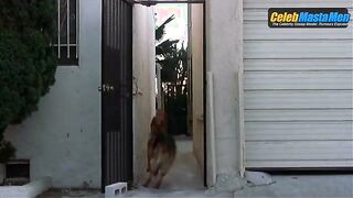RYAN REYNOLDS NUDE/SEXY SCENE IN BUYING THE COW