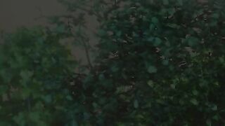 test - screenshot 1