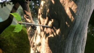 test - screenshot 6