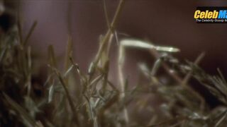 HARRISON PAGE NUDE/SEXY SCREENSHOT 9 IN BEYOND THE VALLEY OF THE DOLLS