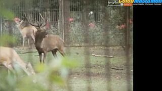 KARSTEN SPECK NUDE/SEXY SCENE IN TIERPARKGESCHICHTEN